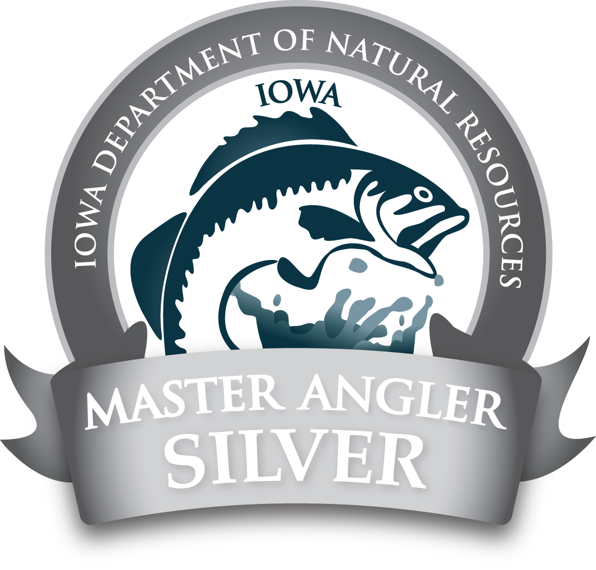 silver-level-award