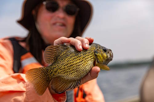 Scientist with fish - Card image