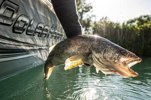 Mississippi River Fishing - Card image