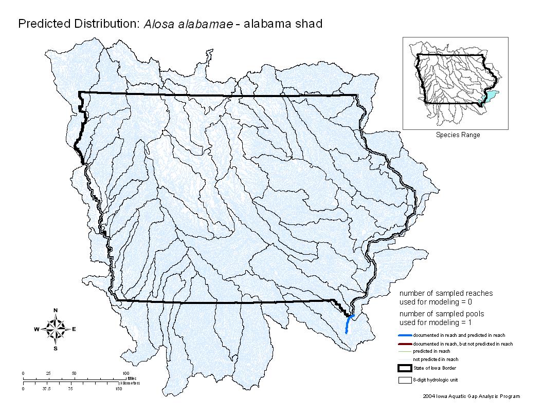 Iowa water body distribution image of Alabama Shad