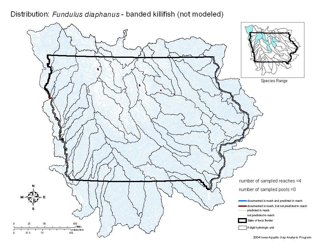 Iowa water body distribution image of Banded Killifish