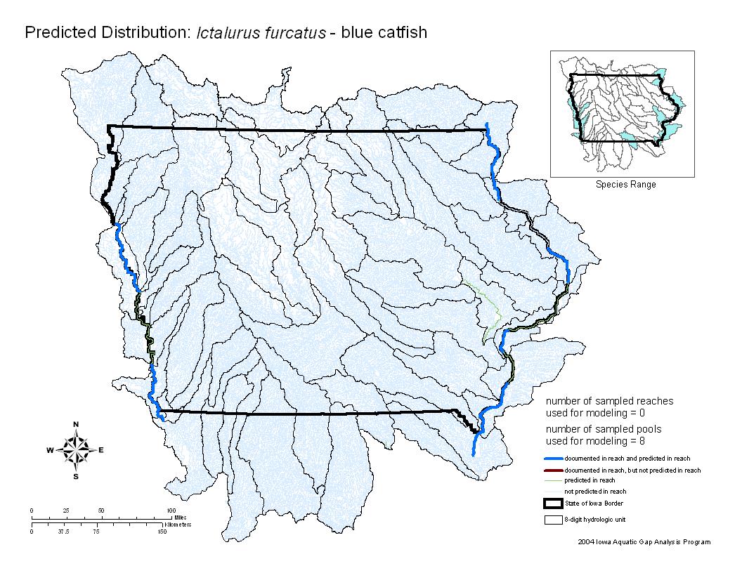 Iowa water body distribution image of Blue Catfish