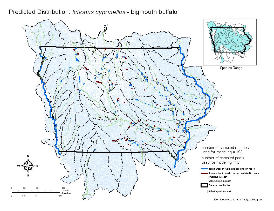 Iowa water body distribution image of Bigmouth Buffalo