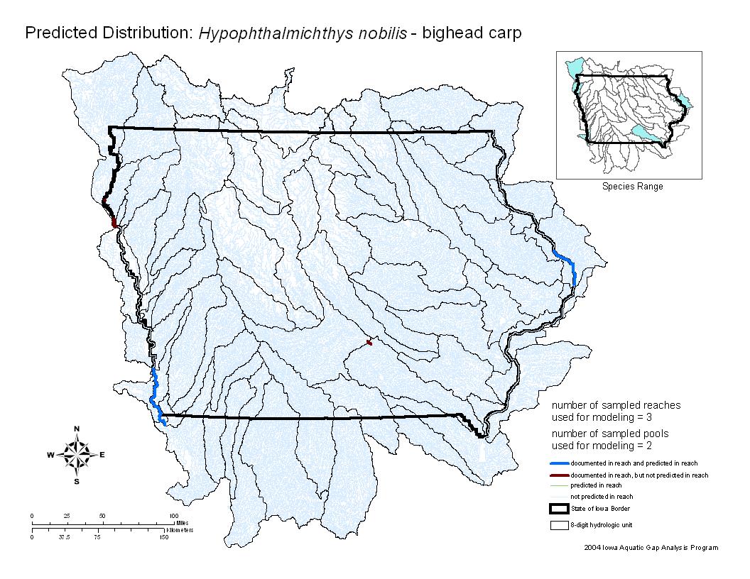 Iowa water body distribution image of Bighead Carp