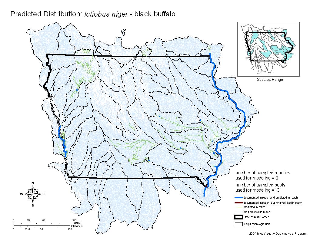 Iowa water body distribution image of Black Buffalo