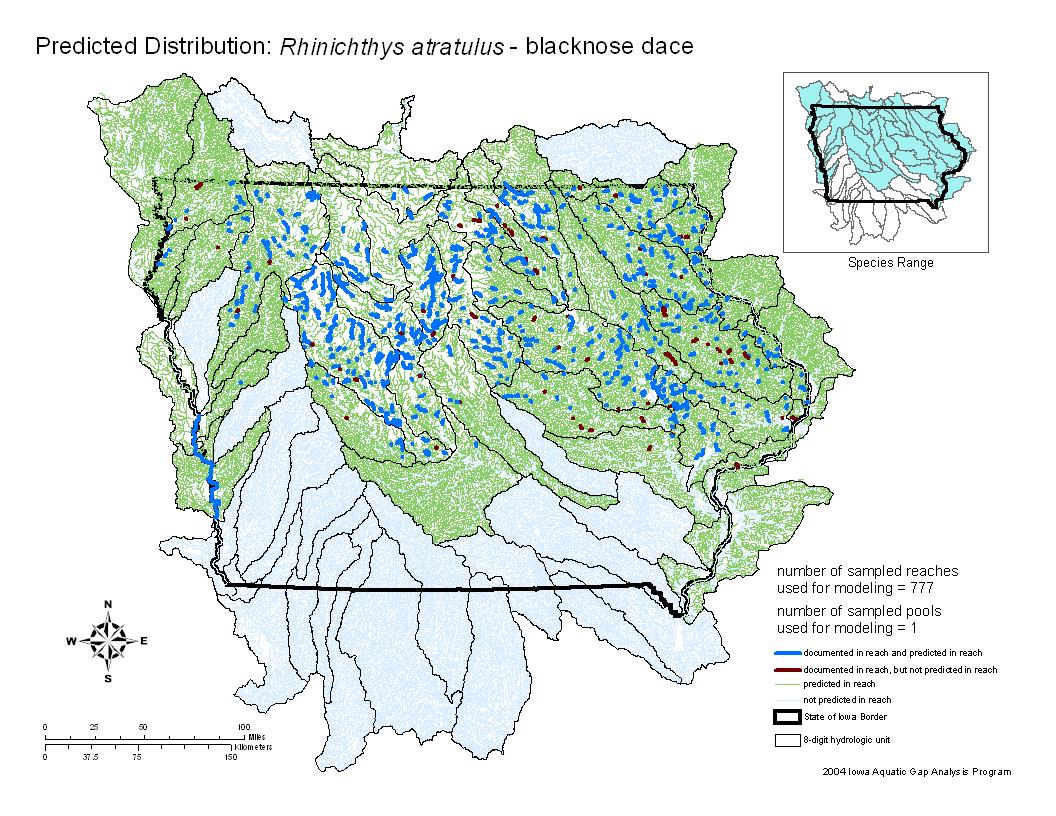 Iowa water body distribution image of Blacknose Dace