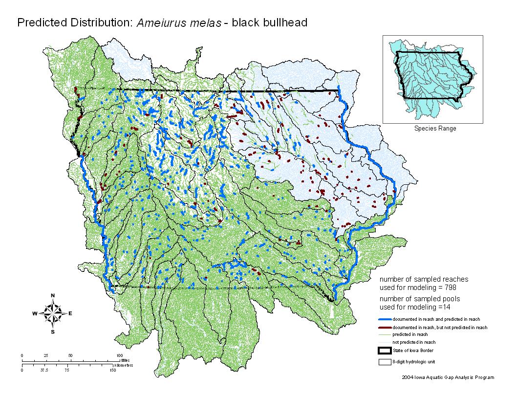 Iowa water body distribution image of Black Bullhead