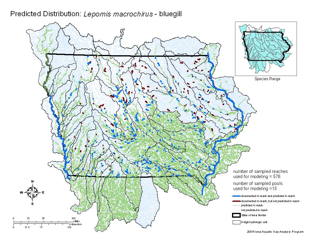 Iowa water body distribution image of Bluegill