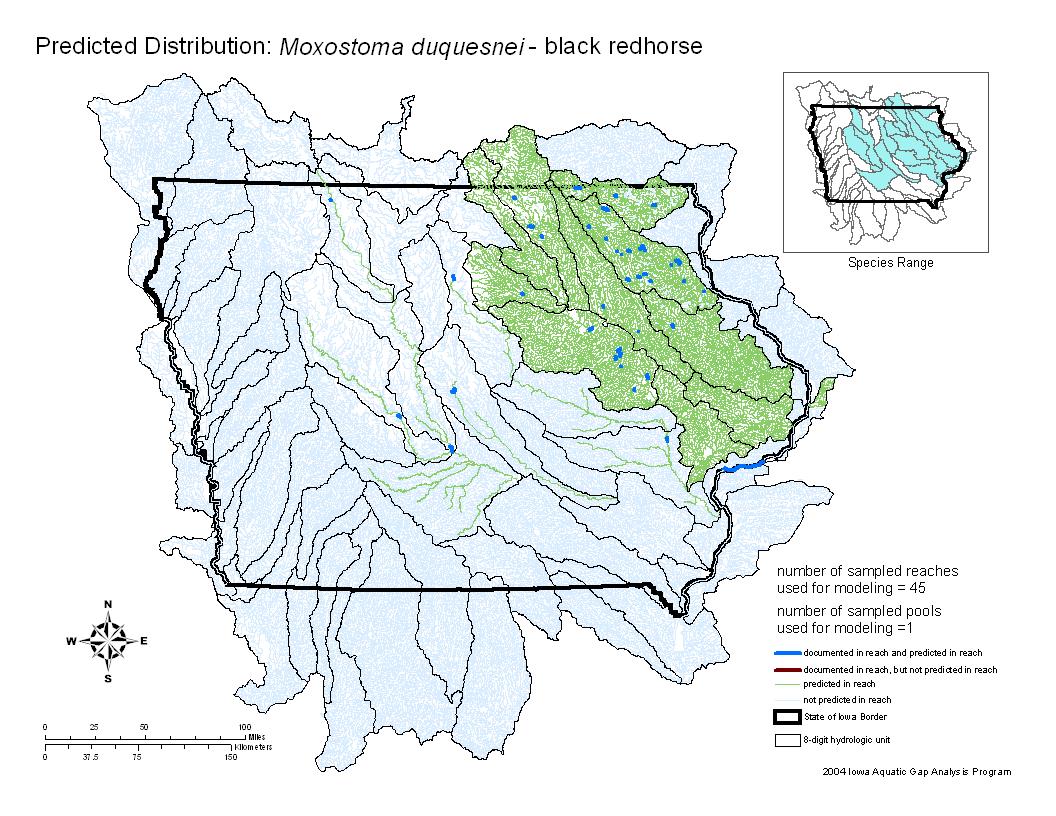 Iowa water body distribution image of Black Redhorse