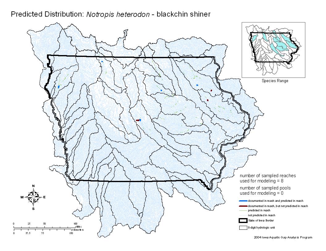 Iowa water body distribution image of Blackchin Shiner