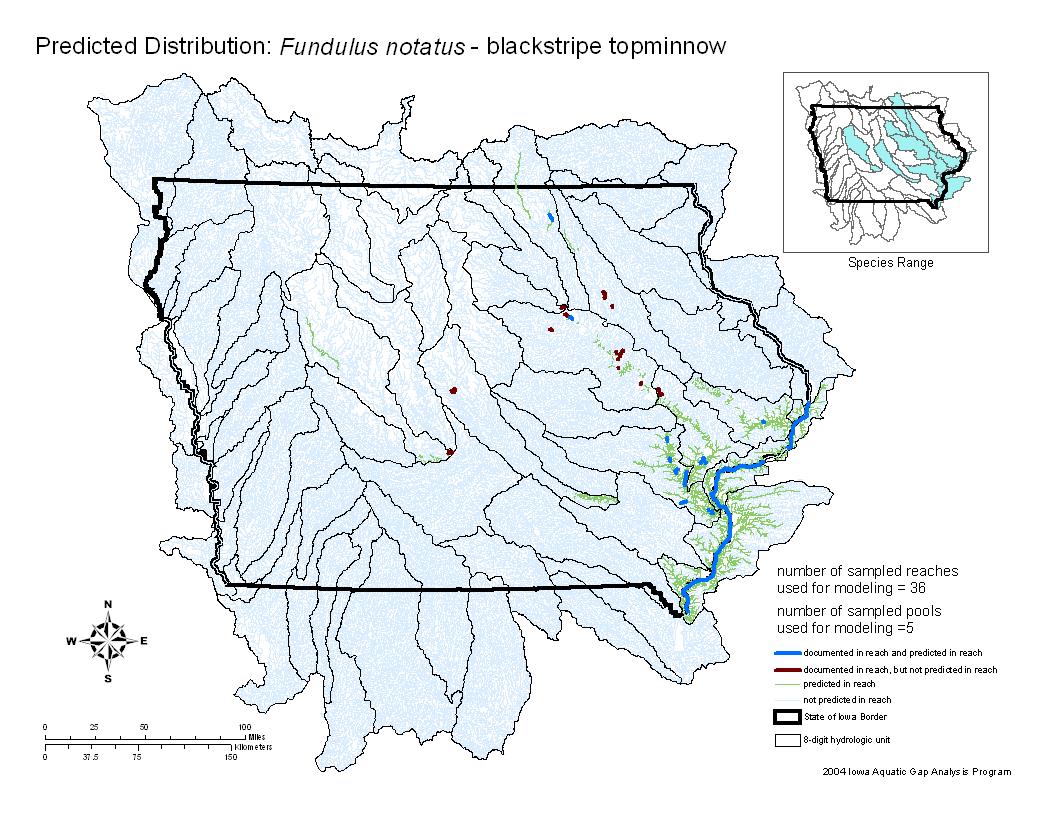 Iowa water body distribution image of Blackstripe Topminnow