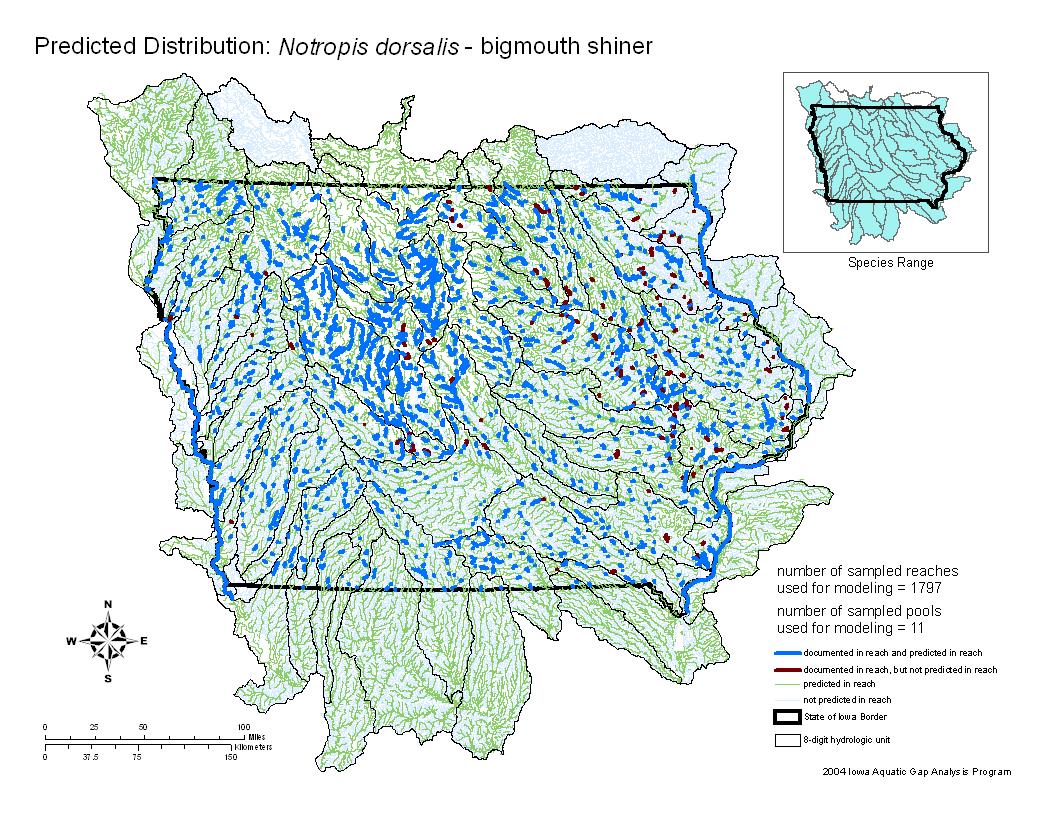 Iowa water body distribution image of Bigmouth Shiner