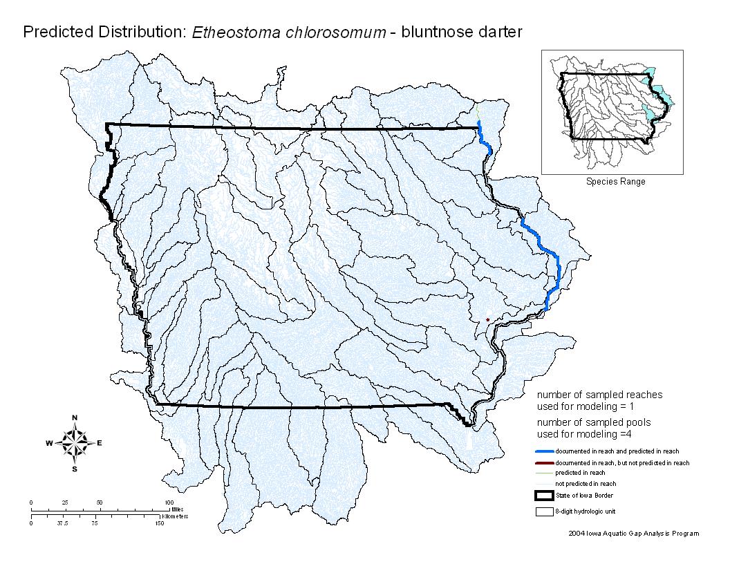 Iowa water body distribution image of Bluntnose Darter