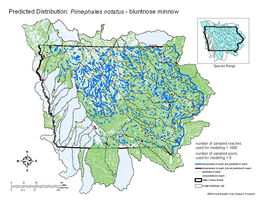 Iowa water body distribution image of Bluntnose Minnow