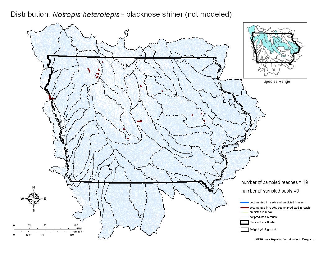 Iowa water body distribution image of Blacknose Shiner