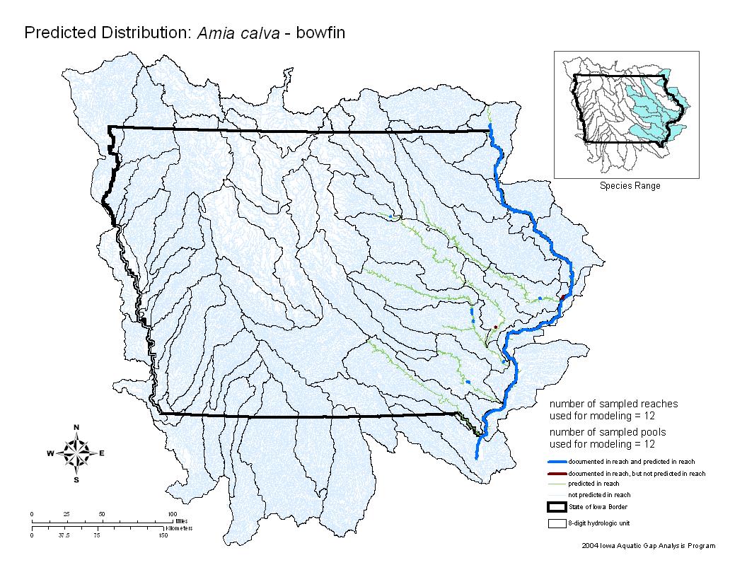 Iowa water body distribution image of Bowfin