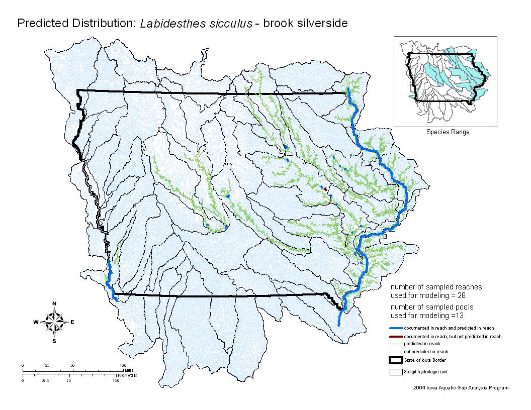 Iowa water body distribution image of Brook Silverside