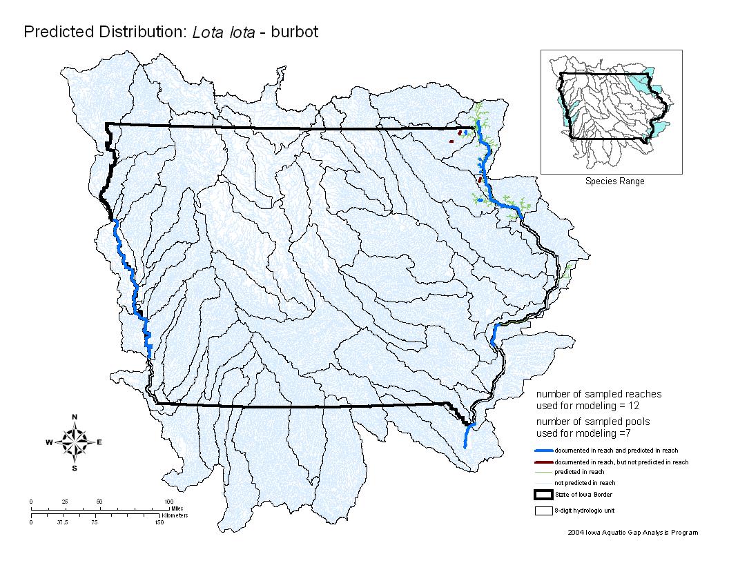 Iowa water body distribution image of Burbot