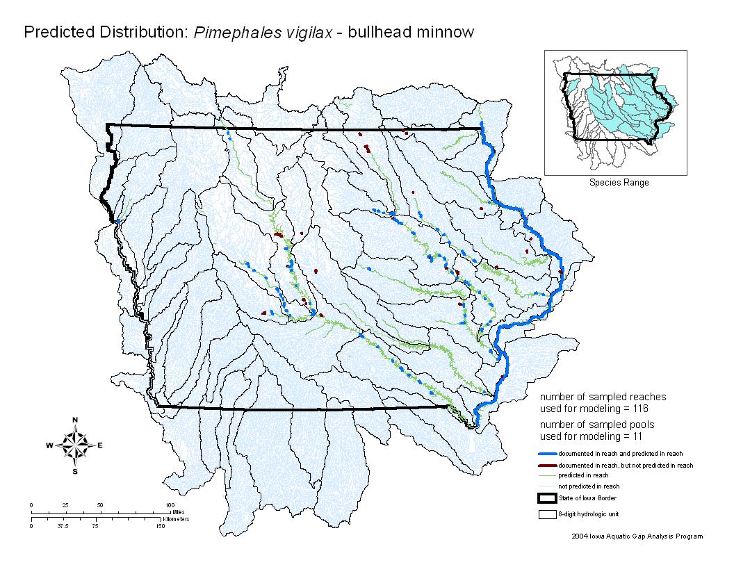 Iowa water body distribution image of Bullhead Minnow