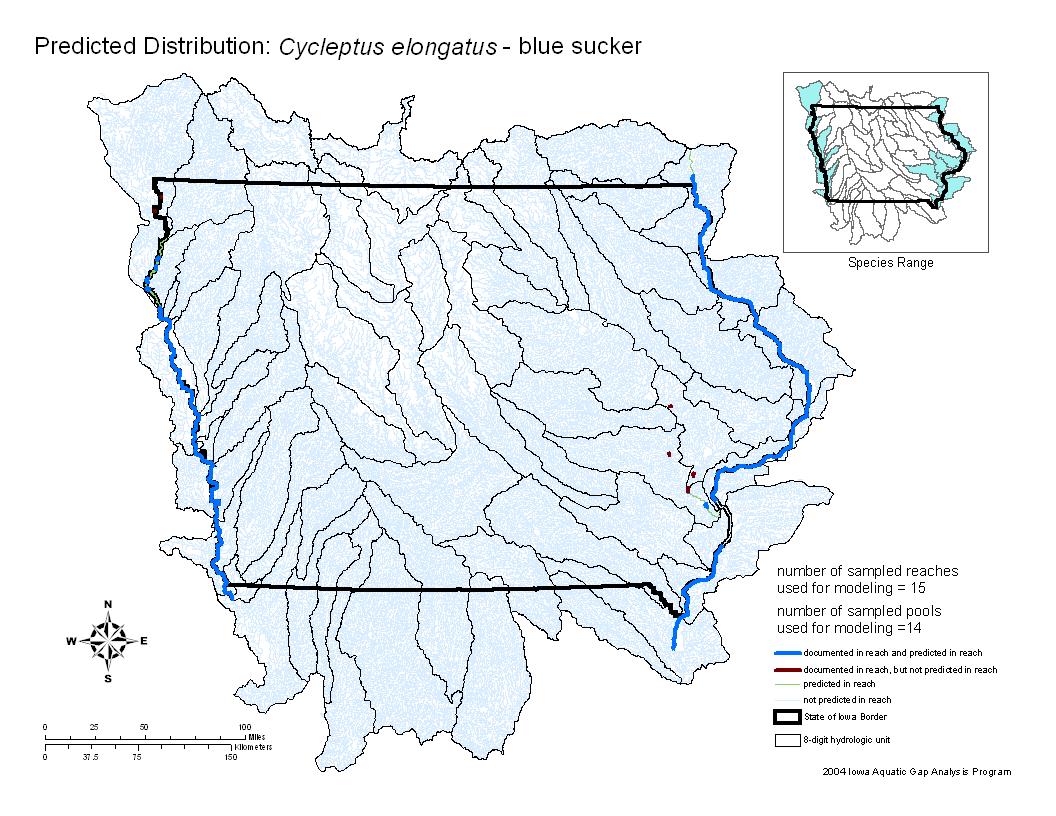 Iowa water body distribution image of Blue Sucker