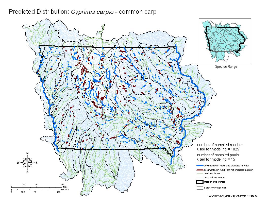 Iowa water body distribution image of Common Carp