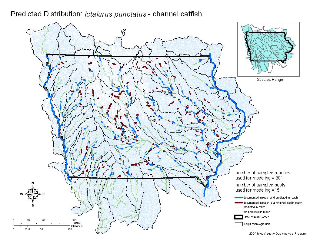 Iowa water body distribution image of Channel Catfish