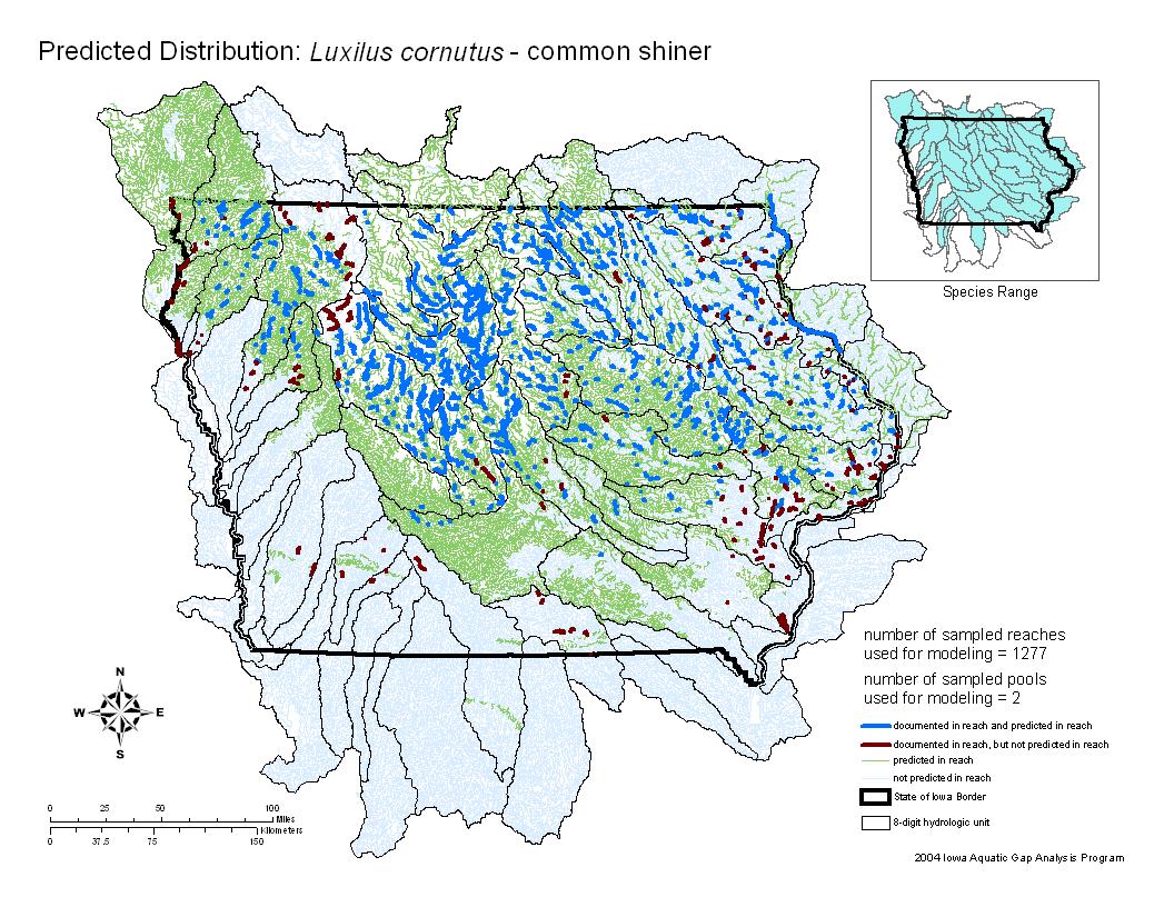 Iowa water body distribution image of Common Shiner