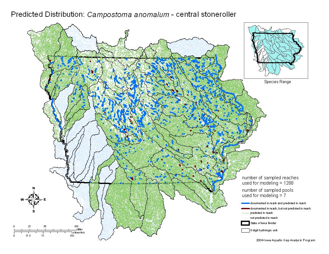 Iowa water body distribution image of Central Stoneroller