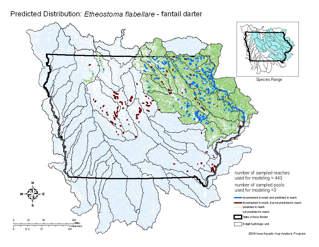 Iowa water body distribution image of Fantail Darter