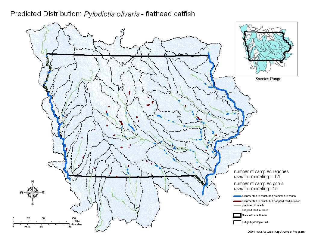 Iowa water body distribution image of Flathead Catfish