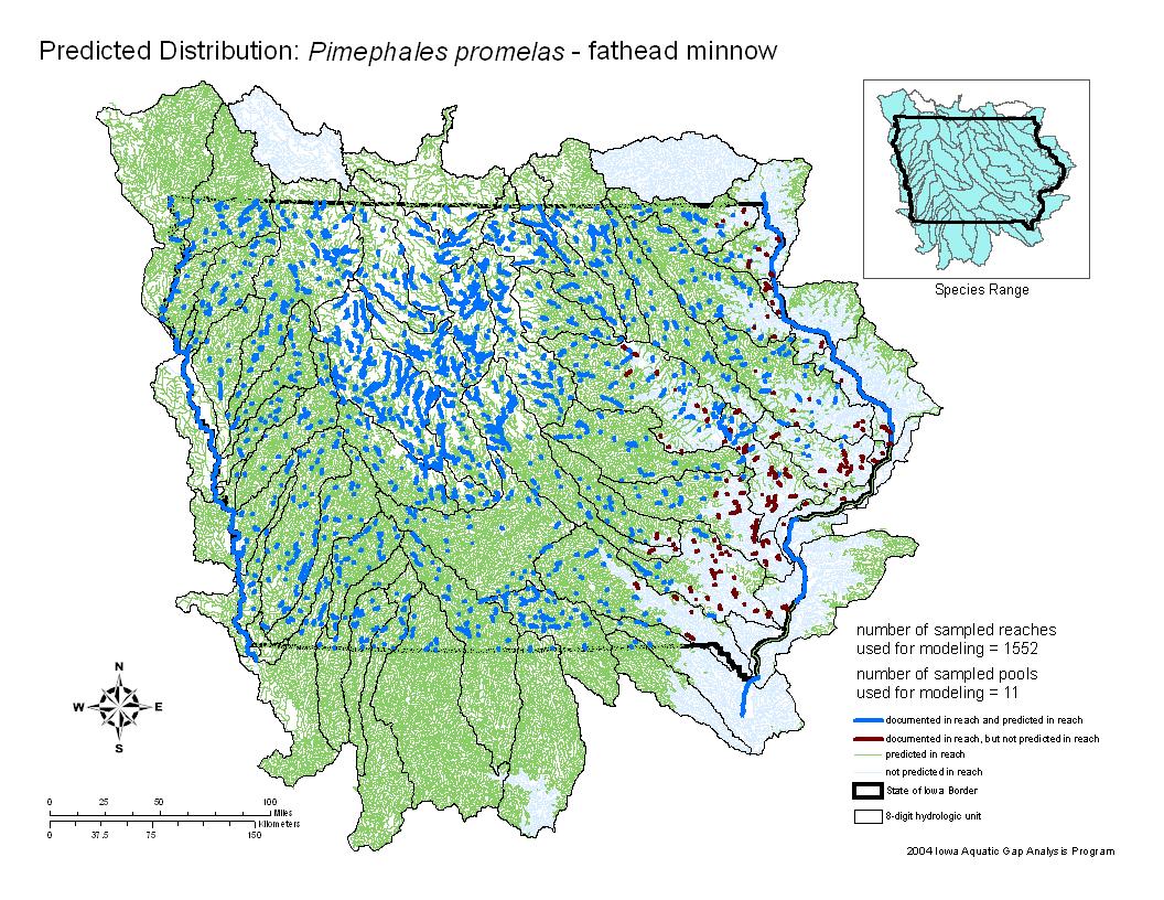 Iowa water body distribution image of Fathead Minnow