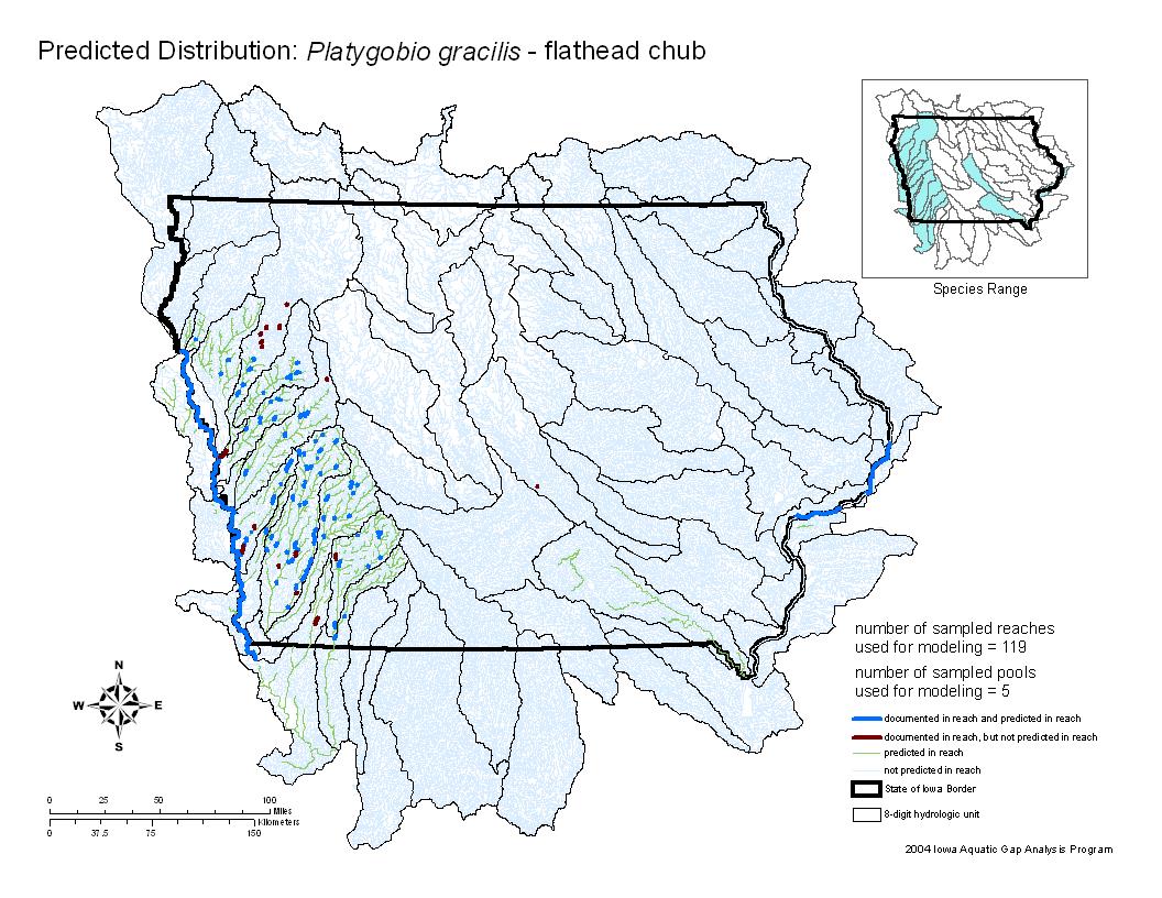 Iowa water body distribution image of Flathead Chub