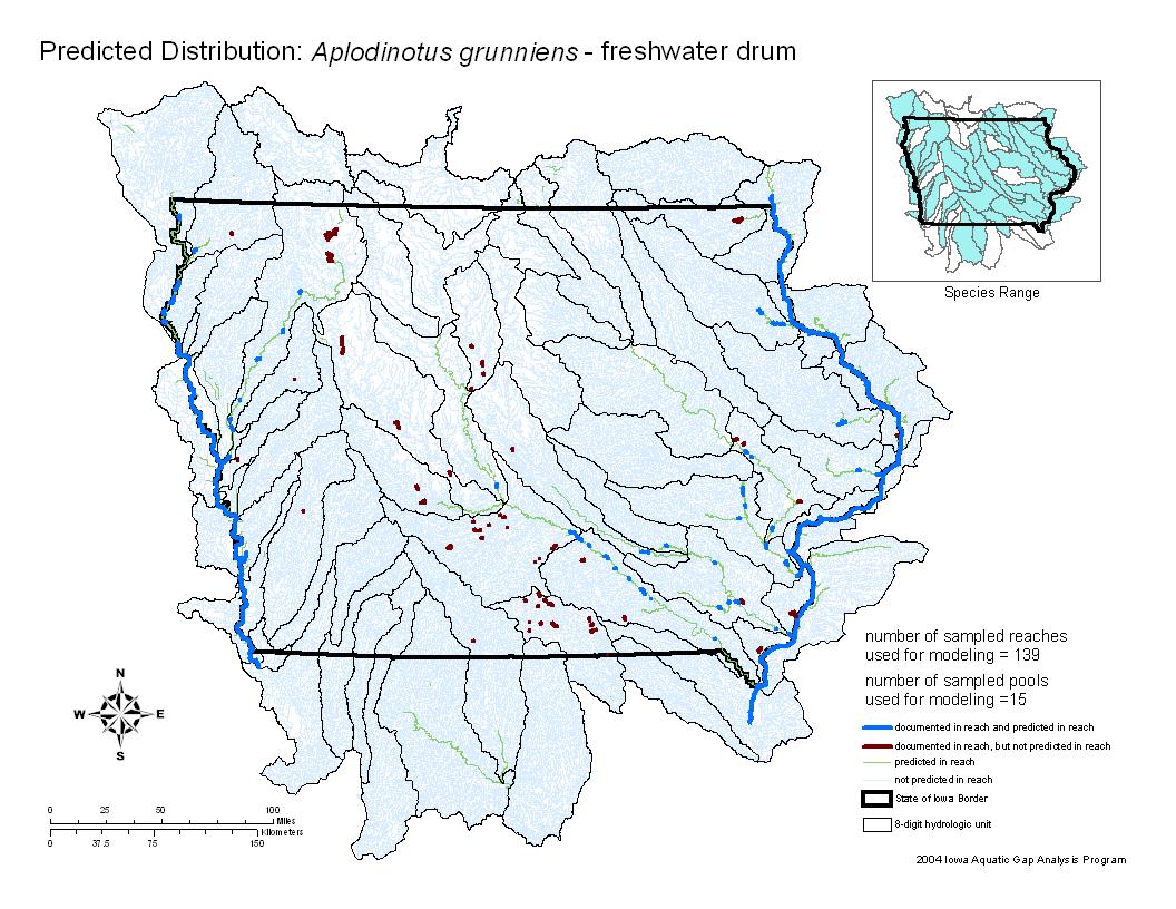 Iowa water body distribution image of Freshwater Drum