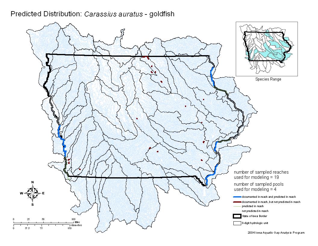 Iowa water body distribution image of Goldfish