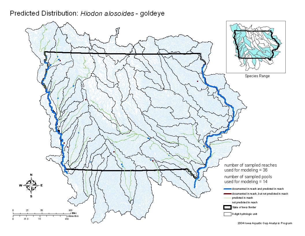 Iowa water body distribution image of Goldeye