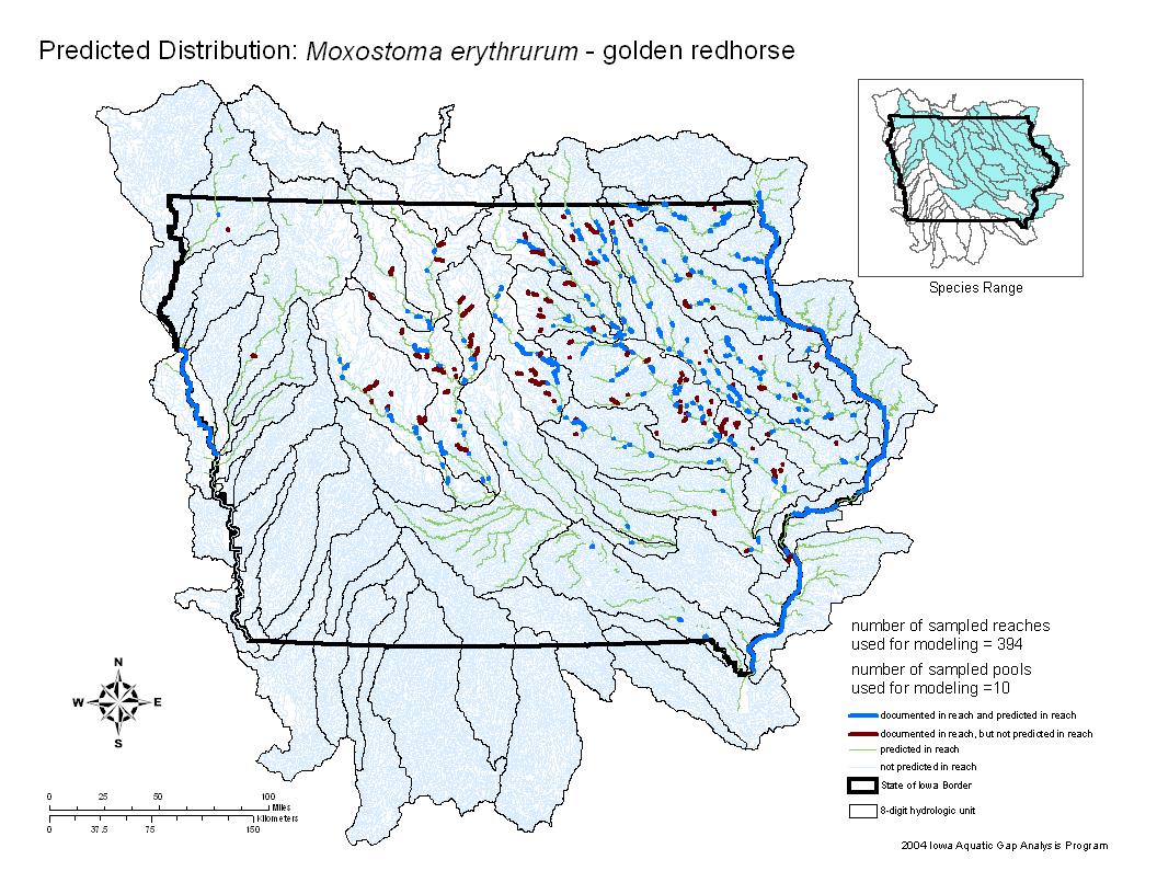 Iowa water body distribution image of Golden Redhorse