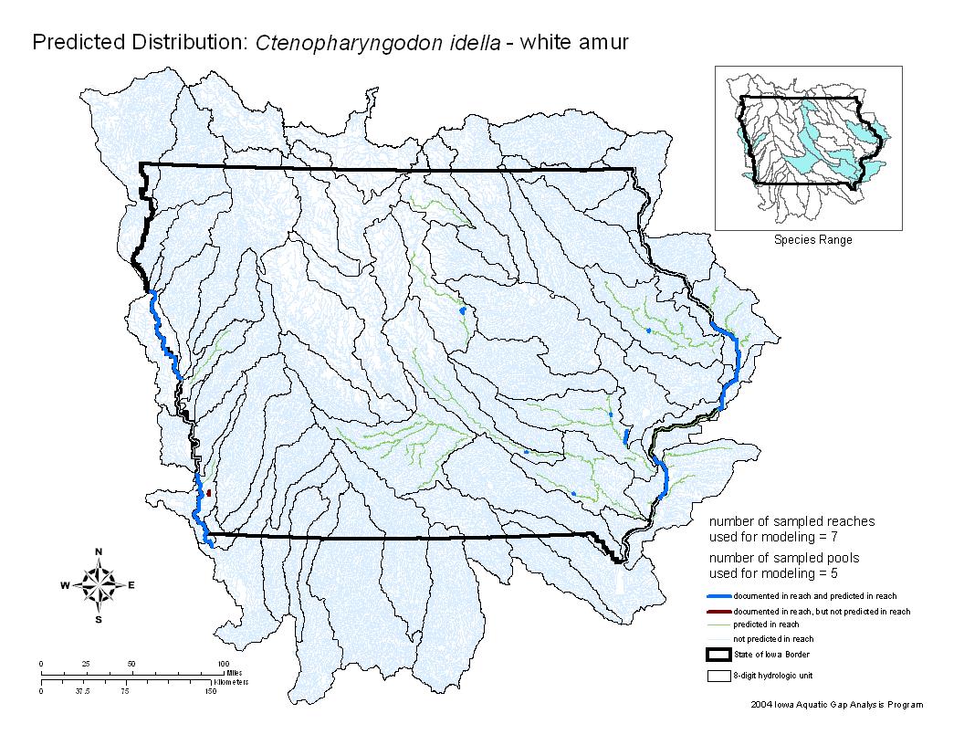 Iowa water body distribution image of Grass Carp