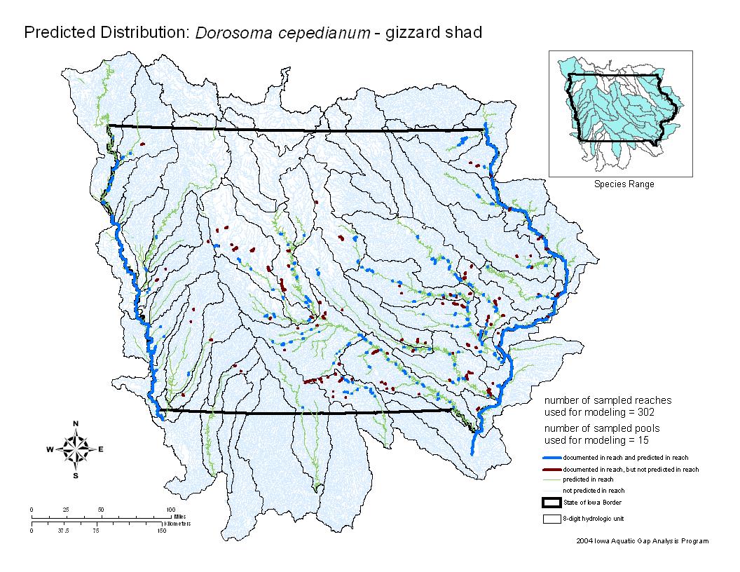 Iowa water body distribution image of Gizzard Shad