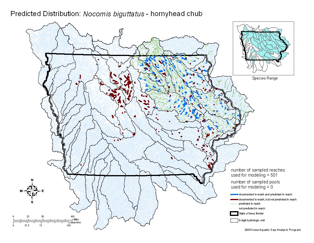 Iowa water body distribution image of Hornyhead chub