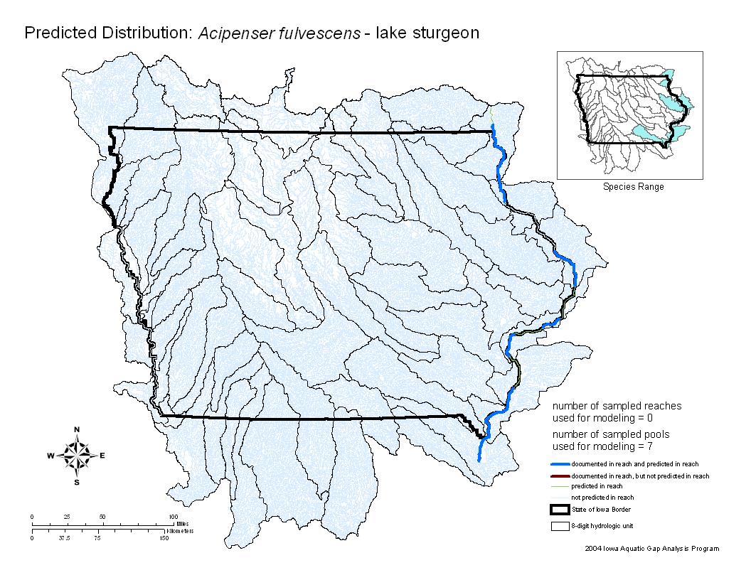 Iowa water body distribution image of Lake Sturgeon