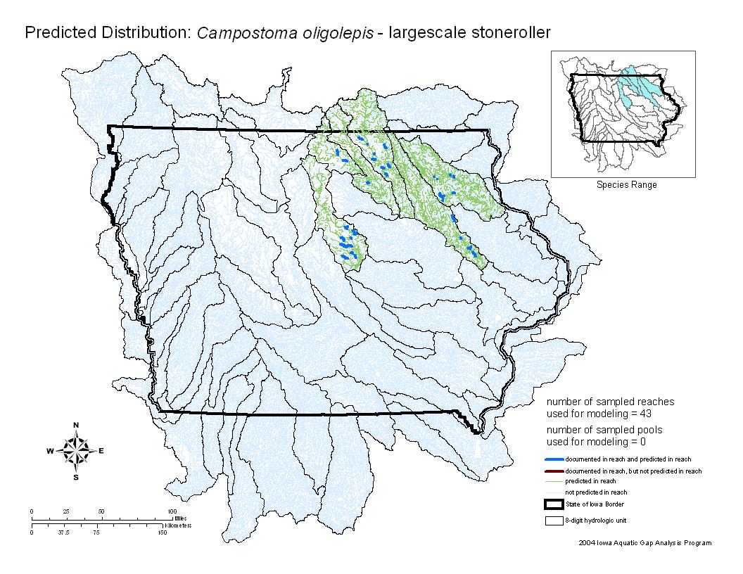 Iowa water body distribution image of Largescale stoneroller