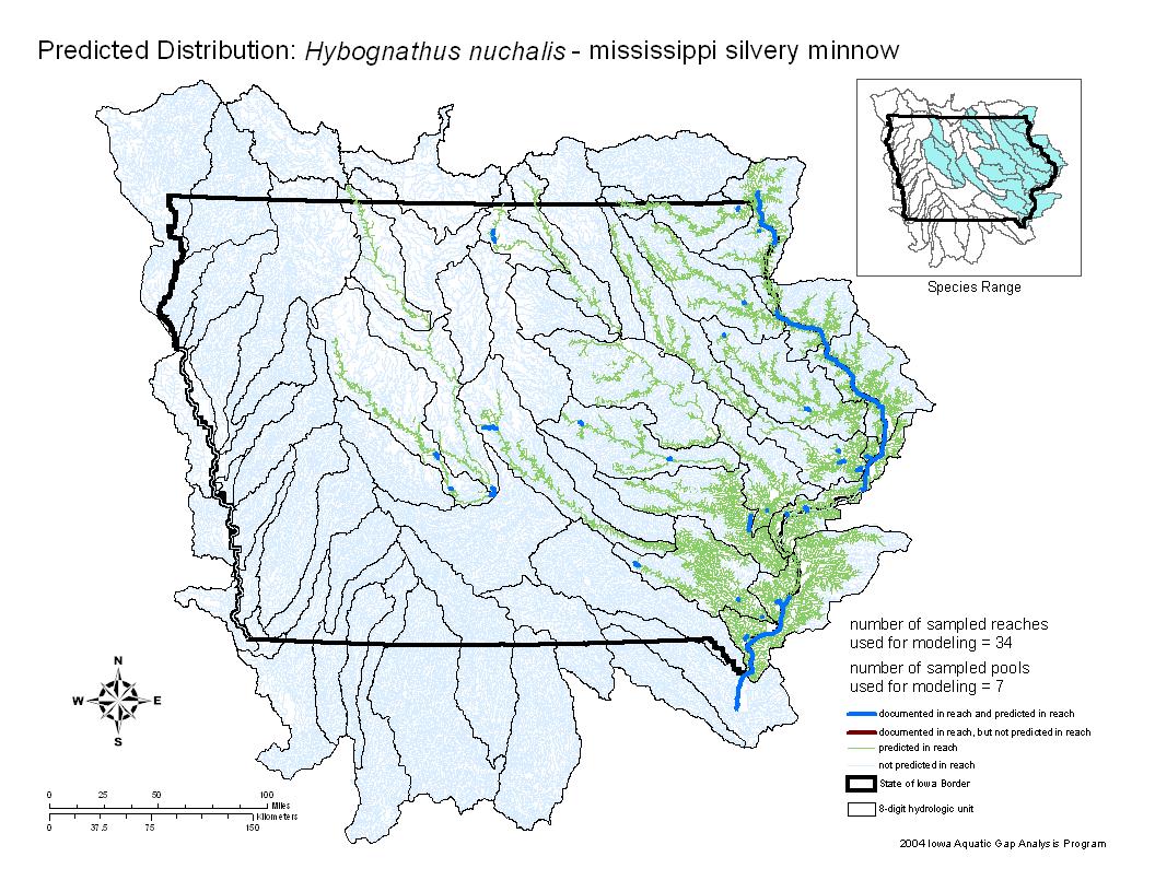 Iowa water body distribution image of Mississippi Silvery Minnow