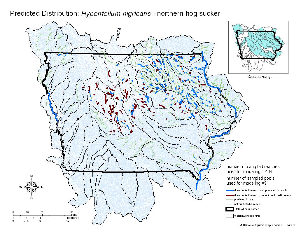 Iowa water body distribution image of Northern hog sucker