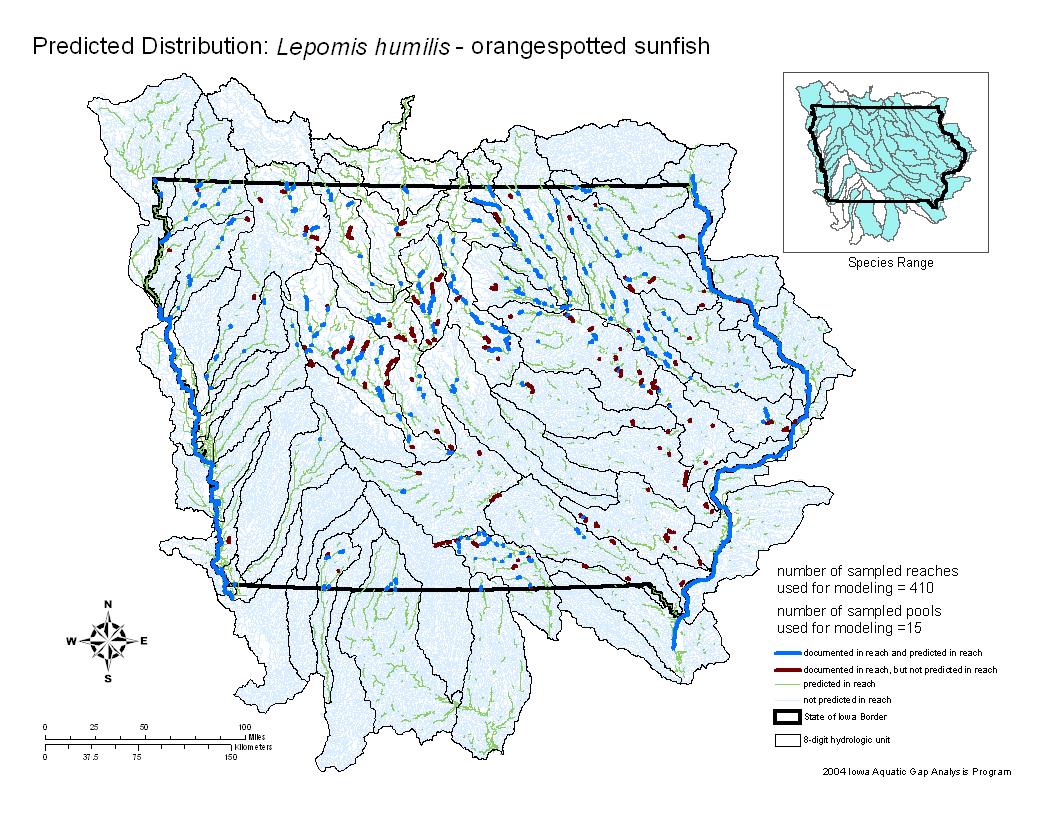 Iowa water body distribution image of Orangespotted sunfish