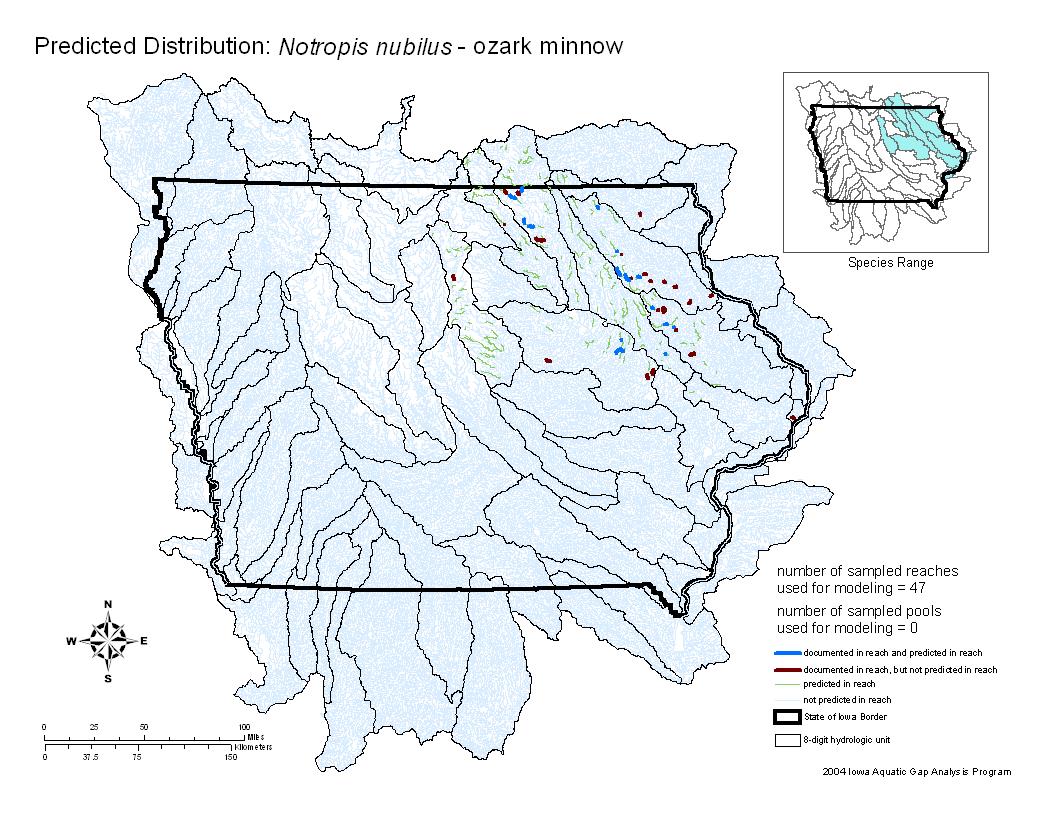 Iowa water body distribution image of Ozark minnow