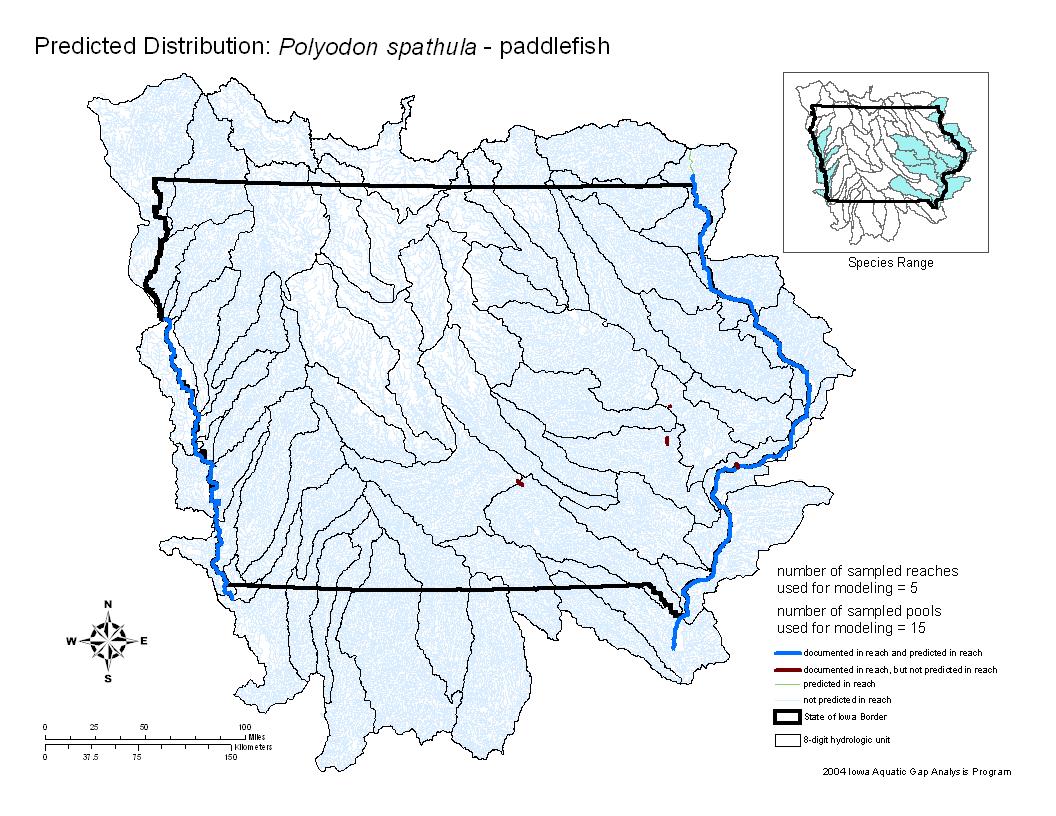 Iowa water body distribution image of Paddlefish