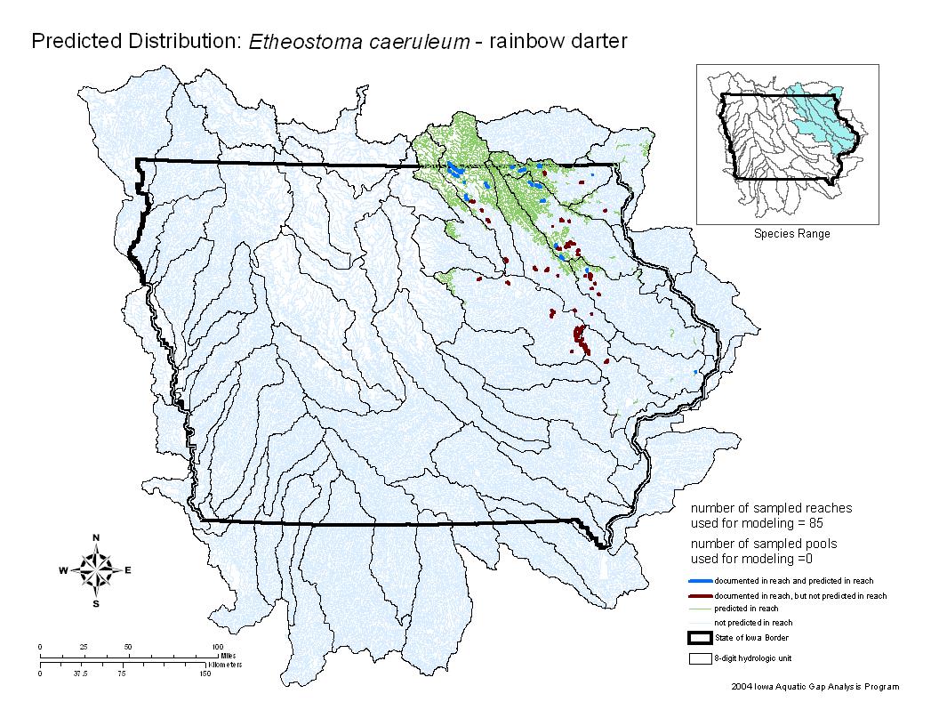 Iowa water body distribution image of Rainbow Darter