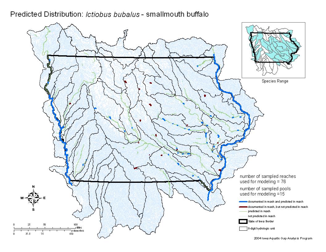 Iowa water body distribution image of Smallmouth Buffalo