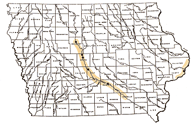 Iowa water body distribution image of Wiper (Hybrid Striped Bass)