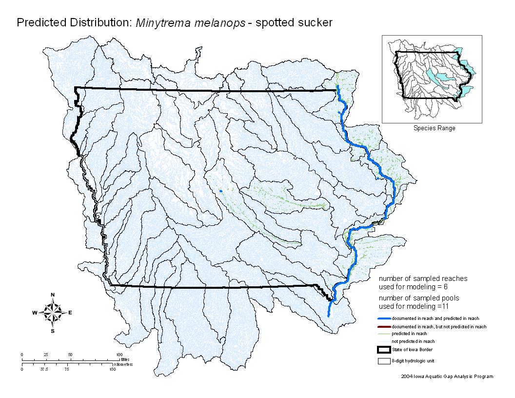 Iowa water body distribution image of Spotted sucker